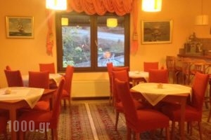 Guesthouse Anastasia_best deals_Hotel_Epirus_Ioannina_Kefalochori