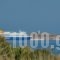 Paravatos Studios 2_lowest prices_in_Hotel_Cyclades Islands_Paros_Paros Rest Areas