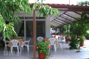 Athina Hotel_best deals_Hotel_Thraki_Evros_Alexandroupoli