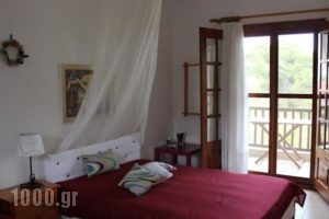 Studios Filio Sonia_travel_packages_in_Macedonia_Halkidiki_Chalkidiki Area