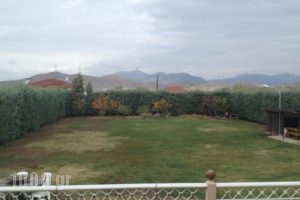 Guesthouse Egli_holidays_in_Hotel_Macedonia_Kozani_Siatista