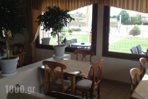 Guesthouse Egli_lowest prices_in_Hotel_Macedonia_Kozani_Siatista