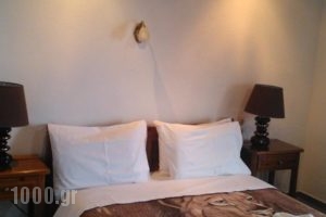 Guesthouse Rousis_holidays_in_Hotel_Thessaly_Magnesia_Zagora