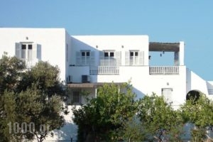 Margarita Studios_accommodation_in_Hotel_Cyclades Islands_Sifnos_Platys Gialos