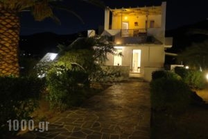 Margarita Studios_best deals_Hotel_Cyclades Islands_Sifnos_Platys Gialos
