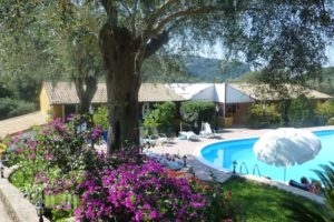 Aphrodite Studios_accommodation_in_Hotel_Ionian Islands_Corfu_Palaeokastritsa