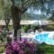 Aphrodite Studios_accommodation_in_Hotel_Ionian Islands_Corfu_Palaeokastritsa