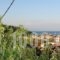 Harry's Studios_accommodation_in_Hotel_Ionian Islands_Paxi_Paxi Rest Areas