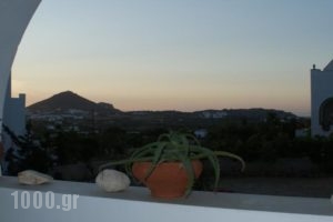 View To The Blue_holidays_in_Hotel_Cyclades Islands_Naxos_Agia Anna