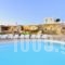 Mykonos Antheon_best deals_Hotel_Cyclades Islands_Mykonos_Mykonos ora