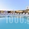 Mykonos Antheon_lowest prices_in_Hotel_Cyclades Islands_Mykonos_Mykonos ora