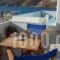 Aegeon Pension_accommodation_in_Hotel_Cyclades Islands_Amorgos_Amorgos Chora