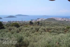 Villa Nikos & Rania_travel_packages_in_Sporades Islands_Skiathos_Skiathoshora