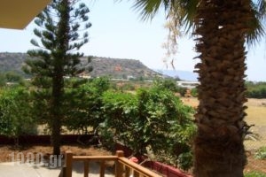 Frossini Apartments_best prices_in_Apartment_Crete_Lasithi_Neapoli