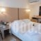 Hotel Lefkas_accommodation_in_Hotel_Ionian Islands_Lefkada_Lefkada Chora