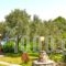 Kyra's Paradise_accommodation_in_Hotel_Thessaly_Magnesia_Platanidia