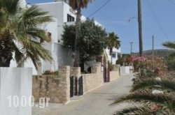 Rallis Apartments in Piso Livadi, Paros, Cyclades Islands