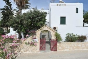 Rallis Apartments_travel_packages_in_Cyclades Islands_Paros_Piso Livadi