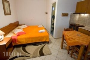 Avgi_accommodation_in_Hotel_Macedonia_Pella_Edessa City