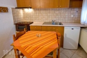 Avgi_best prices_in_Hotel_Macedonia_Pella_Edessa City