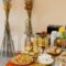 Hotel Plessas Palace_best deals_Hotel_Ionian Islands_Zakinthos_Alikanas