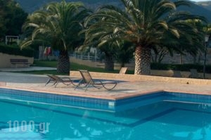 Chrissa Camping Rooms & Bungalows_accommodation_in_Room_Central Greece_Fokida_Amfissa