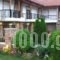 Spitiko_accommodation_in_Hotel_Macedonia_Pella_Aridea