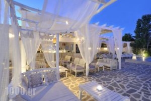 Narges_accommodation_in_Hotel_Cyclades Islands_Paros_Paros Chora