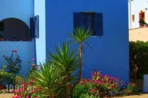 View To The Blue_lowest prices_in_Hotel_Cyclades Islands_Naxos_Agia Anna