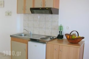 Pernari Apartments_best prices_in_Apartment_Ionian Islands_Kefalonia_Vlachata