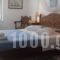 Hydroussa Hotel Hydra_holidays_in_Hotel_PiraeusIslands - Trizonia_Hydra_Hydra Chora