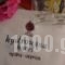 Hydroussa Hotel Hydra_best prices_in_Hotel_PiraeusIslands - Trizonia_Hydra_Hydra Chora