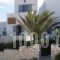 Ariti Apartments_lowest prices_in_Apartment_Cyclades Islands_Paros_Naousa