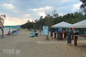 Camping Bungalows Erodios_best prices_in_Hotel_Thessaly_Magnesia_Pilio Area