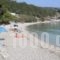 Nikoleta Studios_holidays_in_Hotel_Ionian Islands_Lefkada_Lefkada Chora