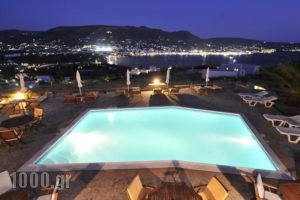 Krotiri Bay_accommodation_in_Hotel_Cyclades Islands_Paros_Paros Chora