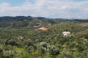 Elaionas Studios_lowest prices_in_Hotel_Peloponesse_Lakonia_Skoutari