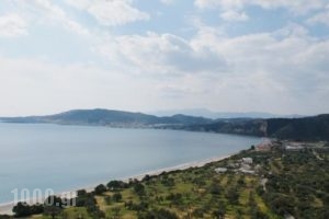 Elaionas Studios_best prices_in_Hotel_Peloponesse_Lakonia_Skoutari