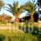 Rooms with View_best deals_Room_Macedonia_Halkidiki_Haniotis - Chaniotis