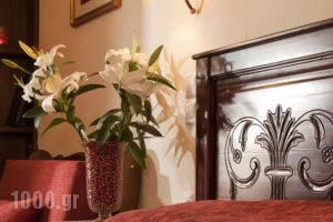 Fretzato_best prices_in_Hotel_Thessaly_Trikala_Trikala City