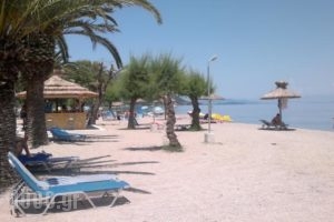 Three Stars Beach Hotel_lowest prices_in_Hotel_Ionian Islands_Corfu_Corfu Rest Areas