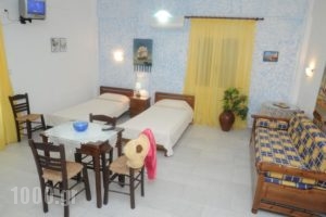 Vitzileos Studios_best deals_Hotel_Cyclades Islands_Naxos_Naxos chora