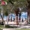 Three Stars Beach Hotel_holidays_in_Hotel_Ionian Islands_Corfu_Corfu Rest Areas