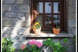 Hotel Kassaros_lowest prices_in_Hotel_Epirus_Ioannina_Metsovo