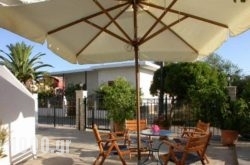 Studios Akrogiali in Pilio Area, Magnesia, Thessaly