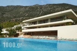 Amalia Hotel Delphi in Delfi, Fokida, Central Greece