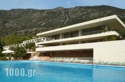 Amalia Hotel Delphi in Athens, Attica, Central Greece