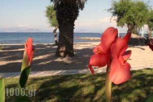 Three Stars Beach Hotel_travel_packages_in_Ionian Islands_Corfu_Corfu Rest Areas