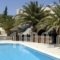 Albatross Hotel_best prices_in_Hotel_Cyclades Islands_Paros_Piso Livadi