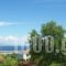 Edelweiss Studios_best prices_in_Hotel_Aegean Islands_Thasos_Thasos Chora